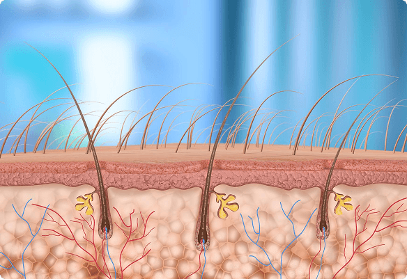 science image